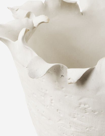 Ferri Bowl